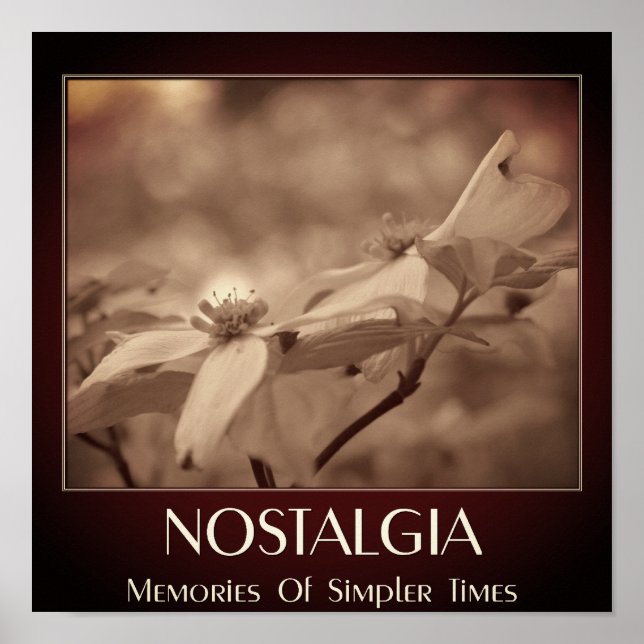 Nostalgi Sepia Kornell Blomma Poster (Framsidan)