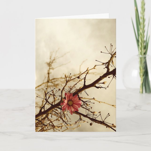 Nostalgia Kort (Framsida)