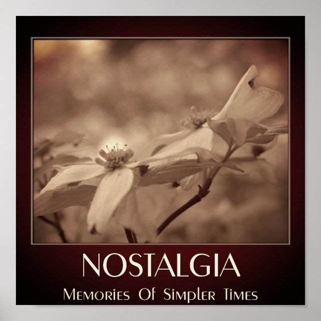 Nostalgia Sepia Dogwood Flower Poster (Framsidan)