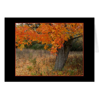 Nostalgiskt gult höstkort hälsningskort