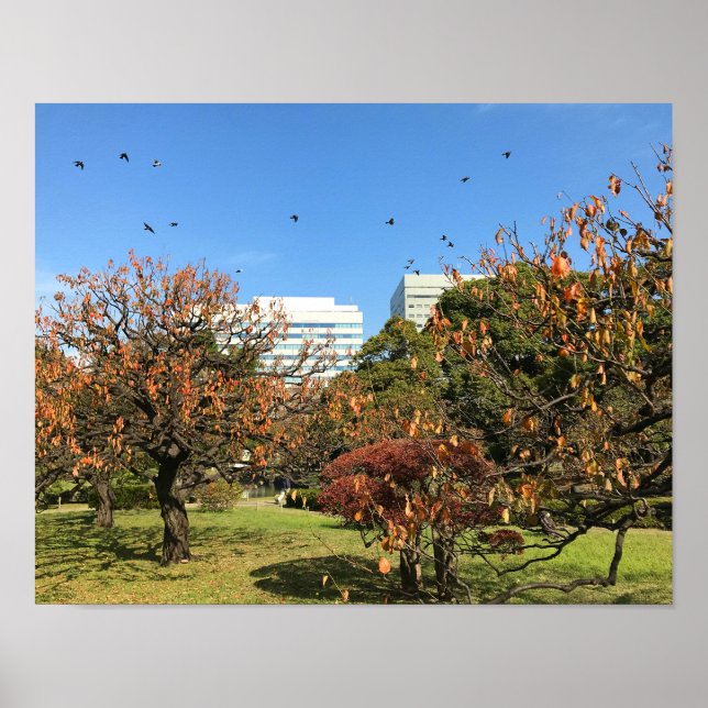 Nostalgiskt hösten Himlar Poster (Framsidan)