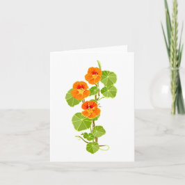 Nostalgiskt Nasturtium Kort