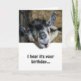 Nosy Goat Tittar upp - födelsedag Kort