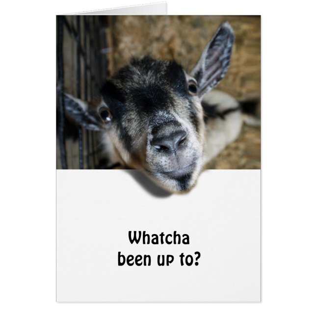 Nosy Goat Tittar upp Hälsningskort (Framsidan)