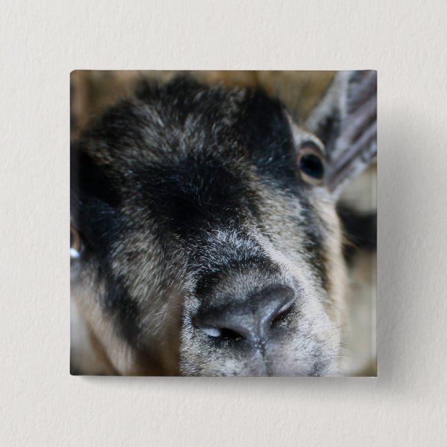 Nosy Goat Tittar upp Knapp (Framsida)