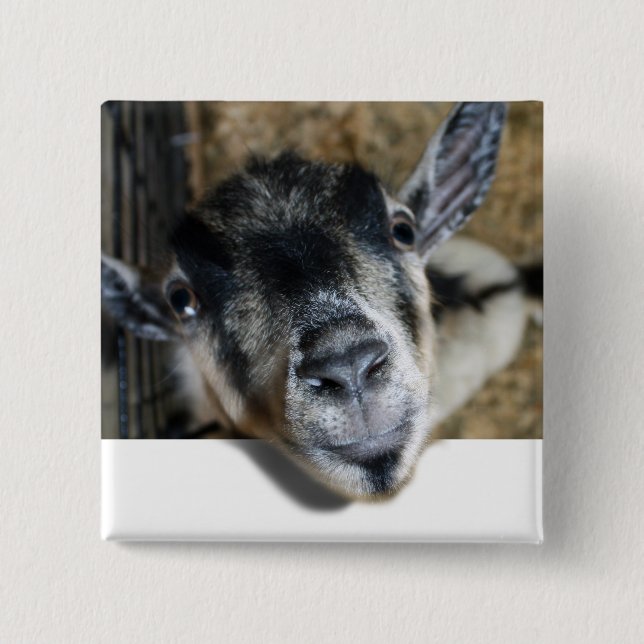 Nosy Goat Tittar ut Knapp (Framsida)