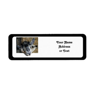 Nosy Goat Tittar ut Returadress Etikett