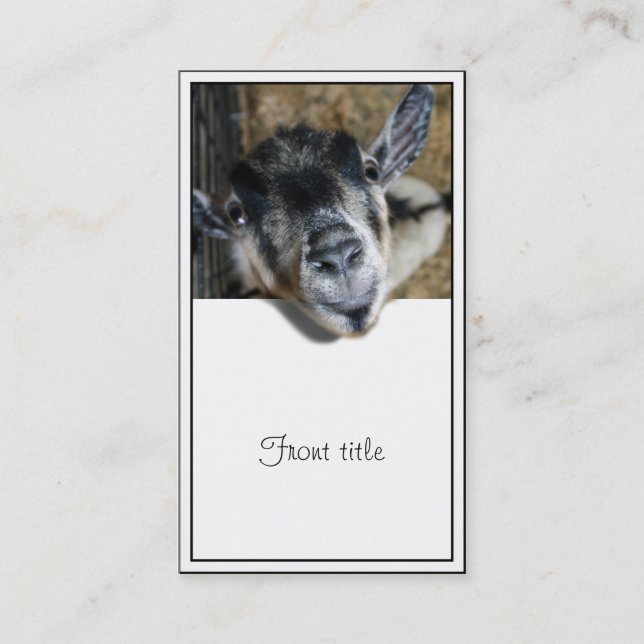 Nosy Goat Tittar ut Visitkort (Framsida)