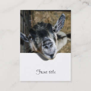 Nosy Goat Tittar ut Visitkort