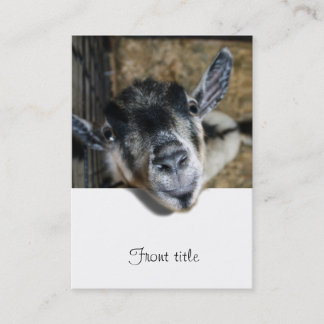 Nosy Goat Tittar ut Visitkort