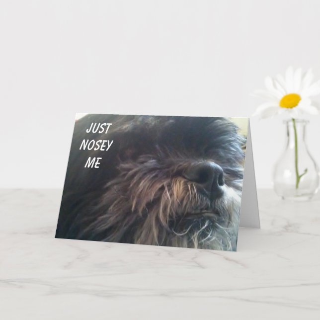 NOSY HUND frågar "DU ÄR 50?" ROLIGT BIRTHDAY CARD Kort (Liten växt)