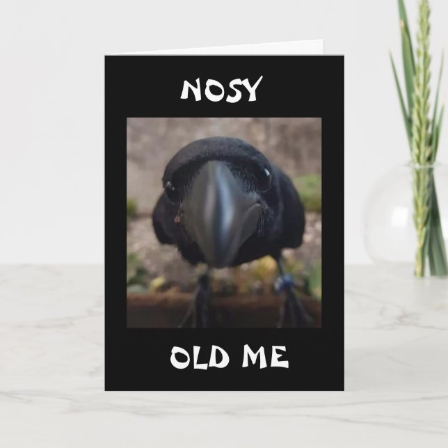 NOSY KRÅKA SÄGER: "ÄR DET DIN BIRTHDAY?" KORT (Framsida)