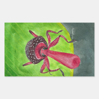 Nosy Rektangulärt Klistermärke