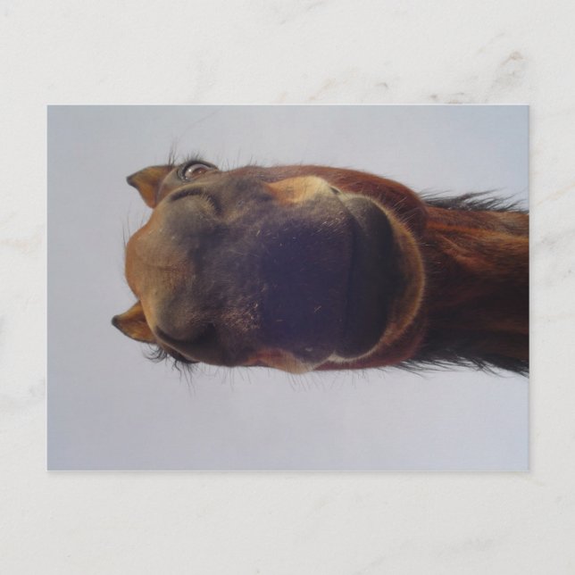 Nosy Vykort (Framsida)