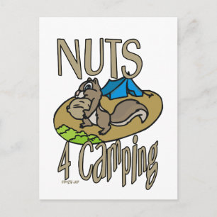 Nöt 4 Camping Vykort
