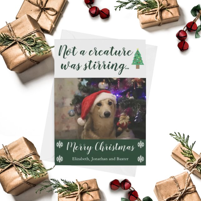Not A Creature Was Stirring Pet Photo Julkort (Skapare uppladdad)