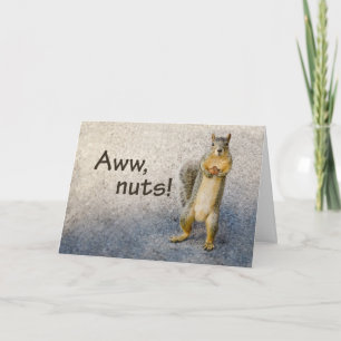 Nöt Belad Birthday med Funny Squirrel Kort