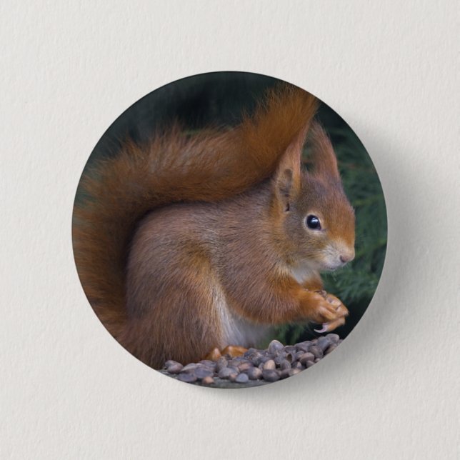 Nöt Brunch Badge Knapp (Framsida)