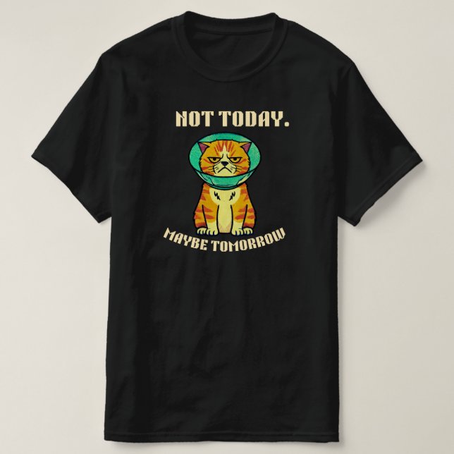 Not Today Maybe Tomorrow Funny Grumpy Cat Design T Shirt (Design framsida)