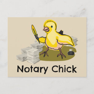 Notär Chick med luddfyllning och dokument Vykort