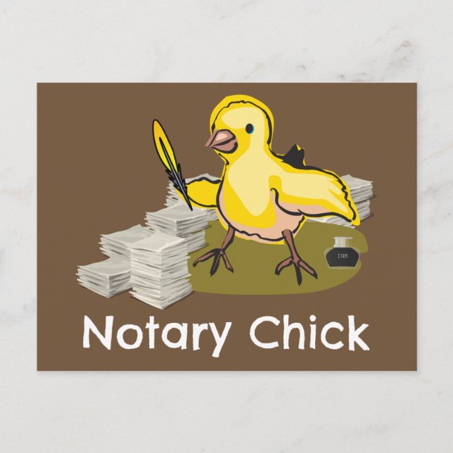 Notär Chick med luddfyllning och dokument Vykort (Framsida)