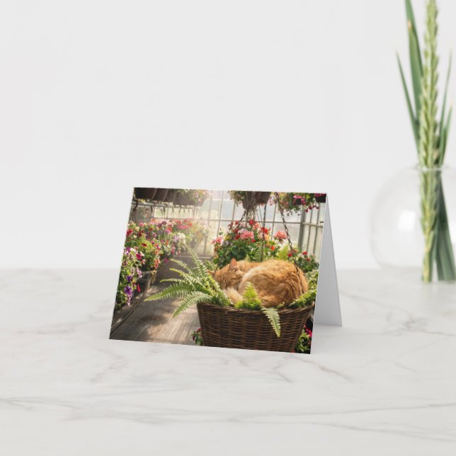 Note Card Cat Napping in Hanging Fern Basket Kort (Framsida)