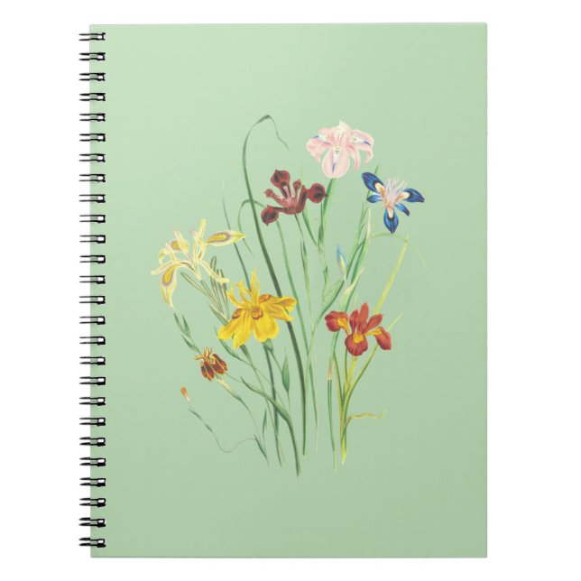 Notebook Nirvana: De Bästa Designerna Hos Dig  Anteckningsbok (Framsidan)