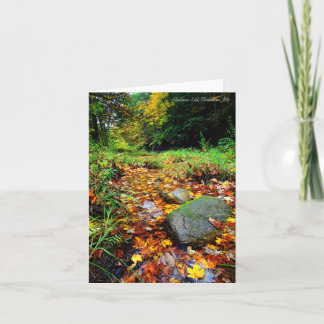 Notecard: Alplaus döda, Charlton, NY Kort