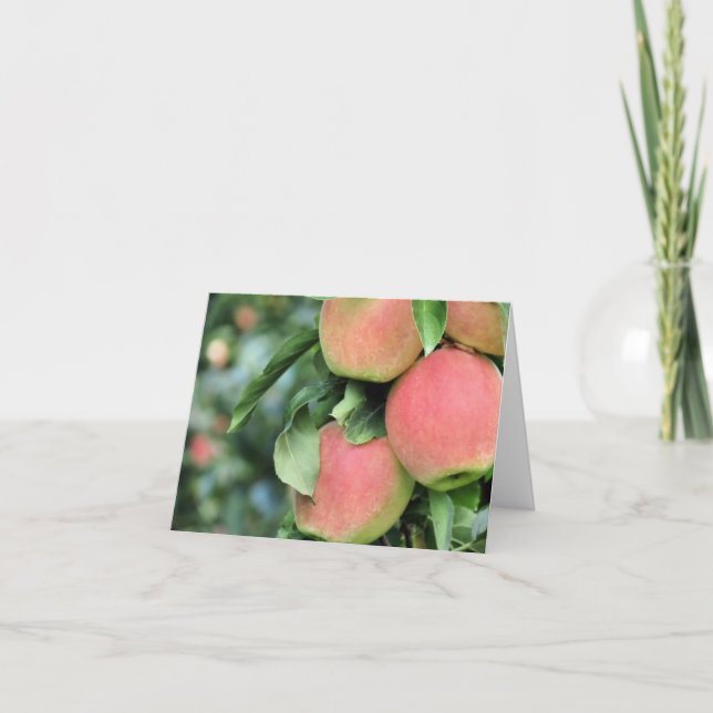 Notecard - äpplen kort (Framsida)