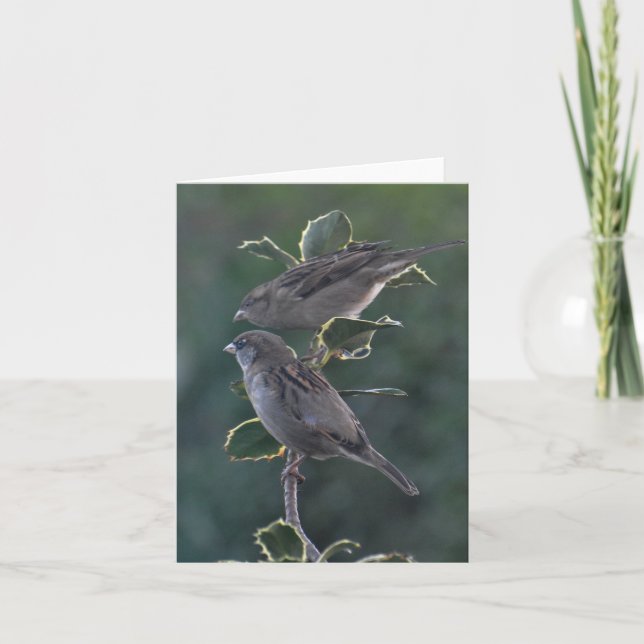 Notecard: Betty & Ians gråsparvar Helgkort (Framsida)