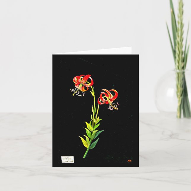 Notecard-Botanical Art-Mary Delany 11 Kort (Framsida)