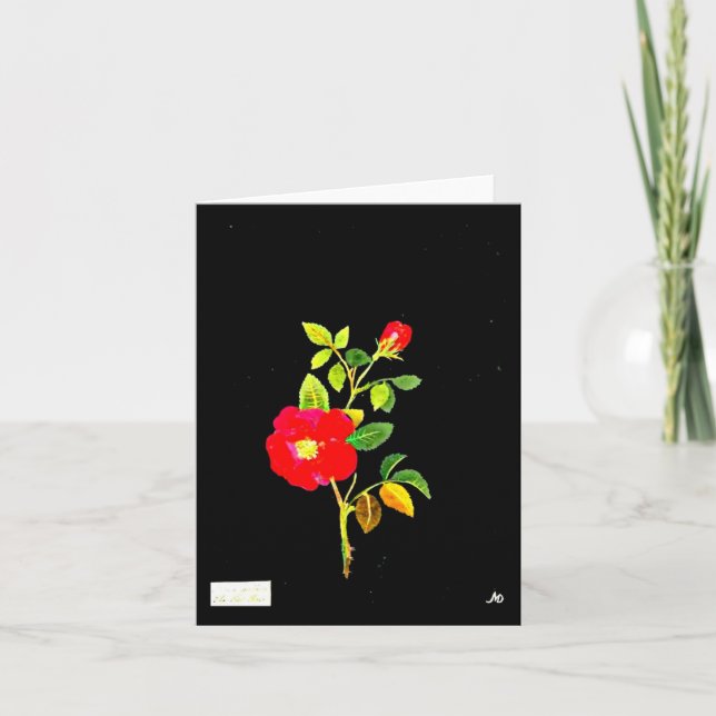 Notecard-Botanical Art-Mary Delany 14 Kort (Framsida)