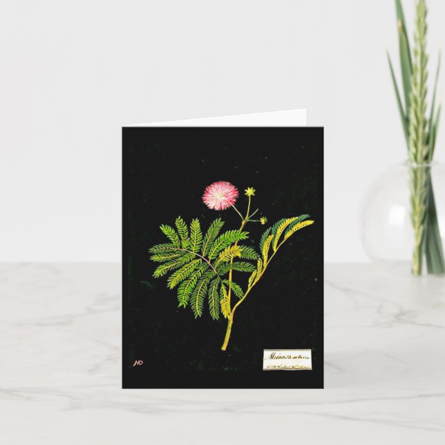 Notecard-Botanical Art-Mary Delany 15 Kort (Framsida)