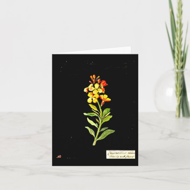 Notecard-Botanical Art-Mary Delany 16 Kort (Framsida)