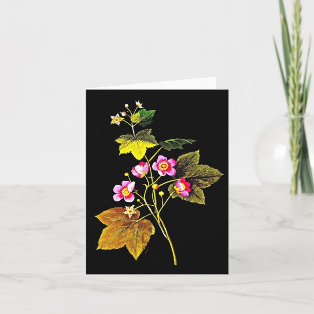 Notecard-Botanical Art-Mary Delany 4 Kort (Framsida)