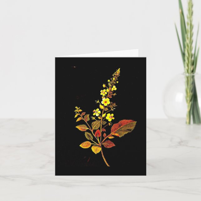 Notecard-Botanical Art-Mary Delany 8 Kort (Framsida)