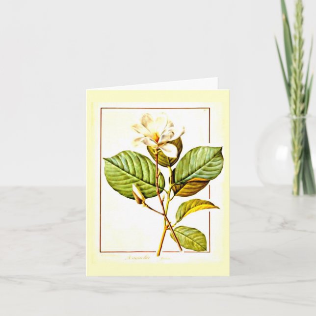 Notecard-Botanicals-Pierre Joseph Redoute 12 Kort (Framsida)
