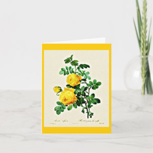 Notecard-Botanicals-Pierre Joseph Redoute 13 Kort