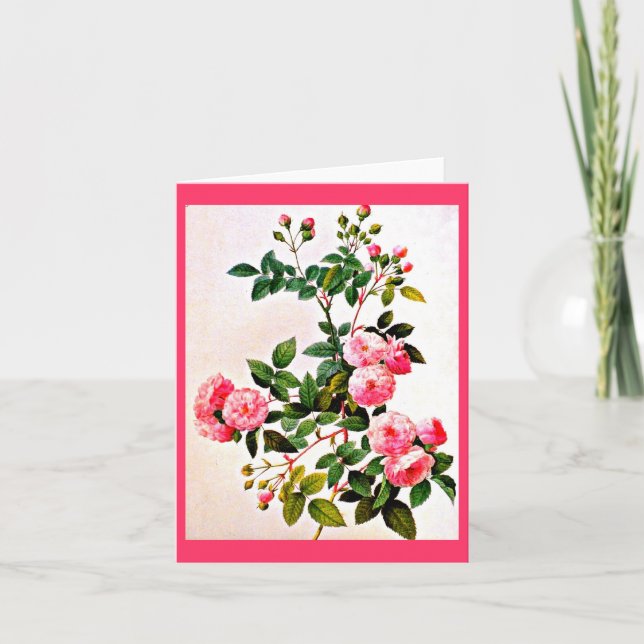 Notecard-Botanicals-Pierre Joseph Redoute 14 Kort (Framsida)