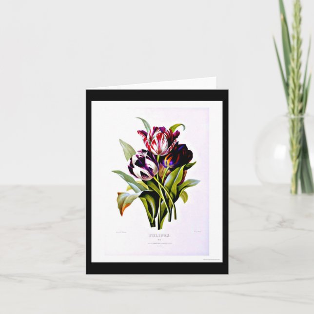 Notecard-Botanicals-Pierre Joseph Redoute 15 Kort (Framsida)