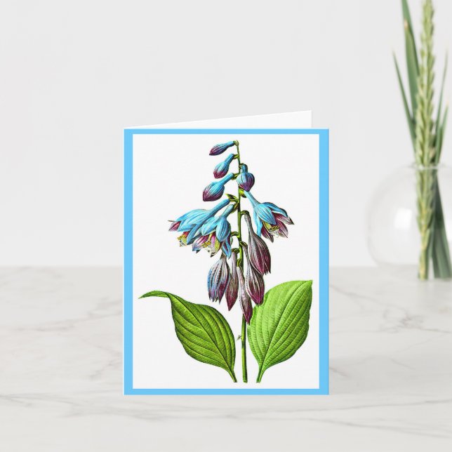 Notecard-Botanicals-Pierre Joseph Redoute 17 Kort (Framsida)