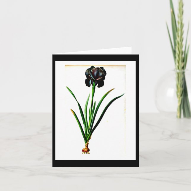 Notecard-Botanicals-Pierre Joseph Redoute 18 Kort (Framsida)