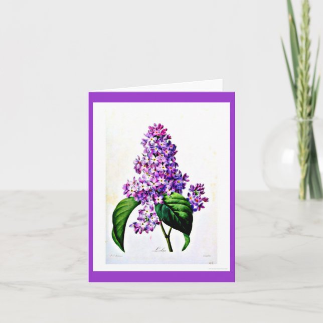 Notecard Botanicals-Pierre Joseph Redoute 8 Kort (Framsida)