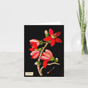 Notecard-Botaniska Konst-Mary Delany 17 Kort