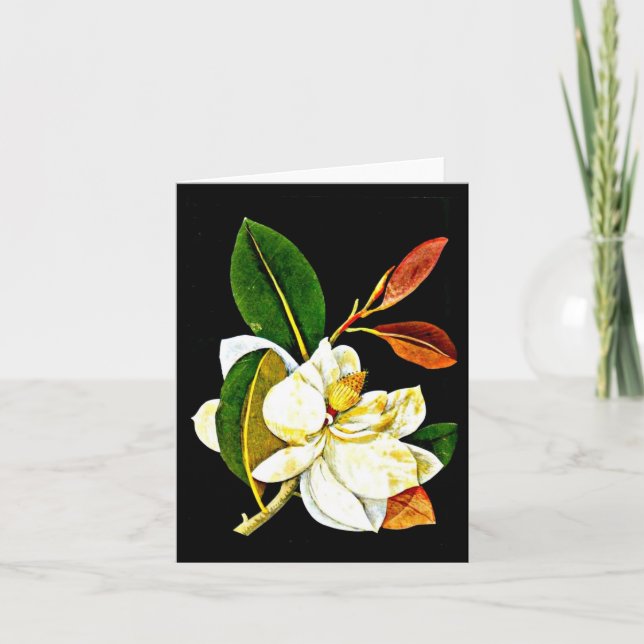 Notecard-Botaniska Konst-Mary Delany 1 Kort (Framsida)