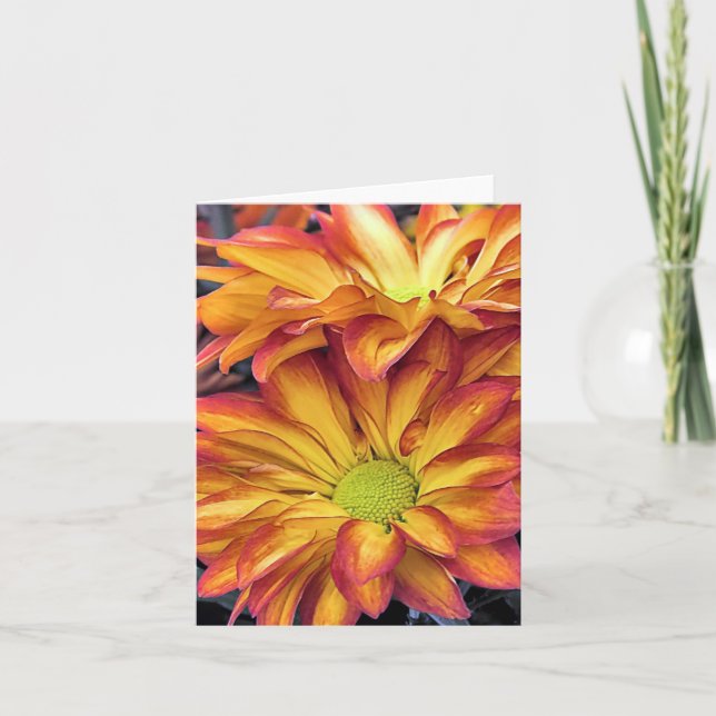 Notecard - Chrysanthemums Kort (Framsida)