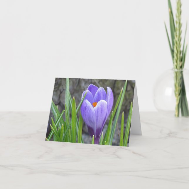 Notecard - Crocus Kort (Framsida)