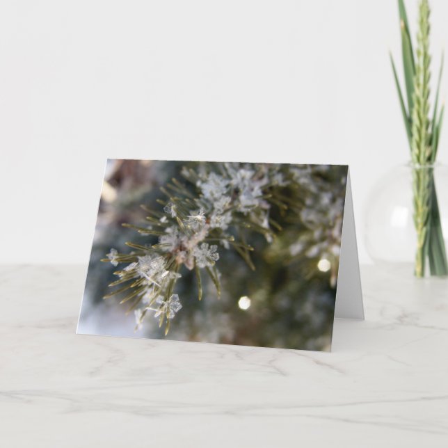 NOTECARD Crystal flingor på Spruce nålar Kort (Framsida)