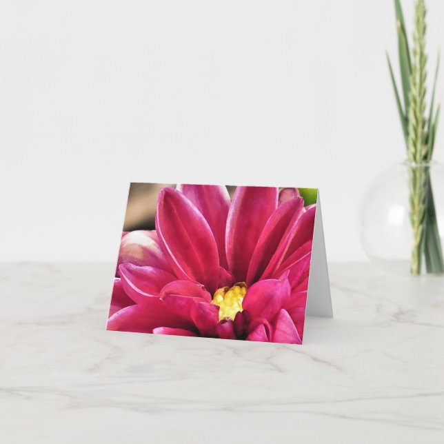 Notecard - Dahlia closeup Kort (Framsida)