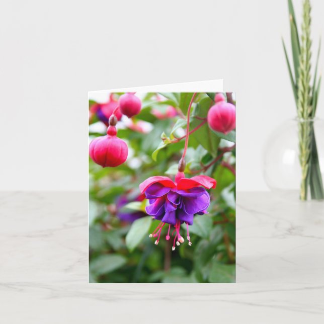 Notecard Fuschia Kort (Framsida)